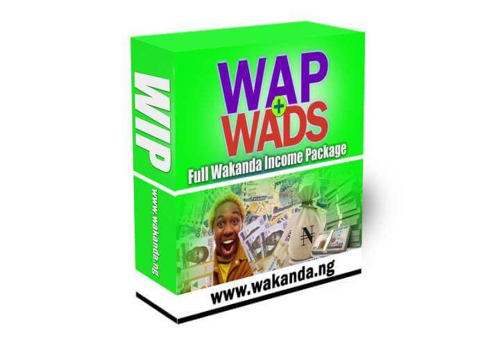 wakanda-nation-income-progam-review(1)